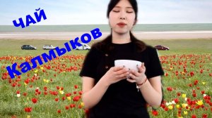 Калмыцкий чай - больше, чем чай! Чайный клуб "Намсан".