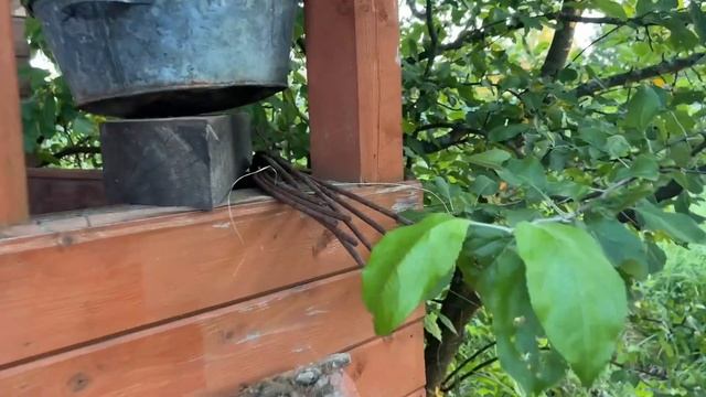 РАСХЛАМЛЕНИЕ ДАЧНОГО УЧАСТКА. ПЛАНЫ НА БУДУЩЕЕ смотреть онлайн