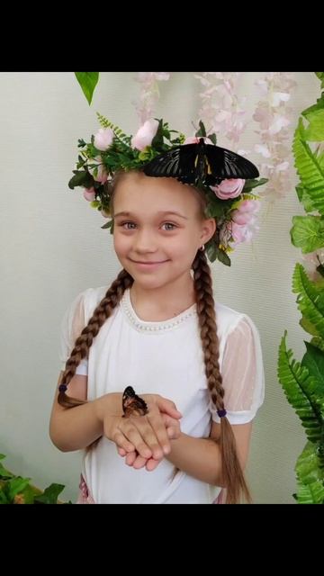 Живые бабочки