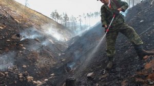 Режим ЧС ввели в Бурятии из-за 17 лесных пожаров