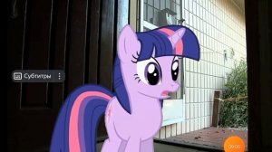 Реакция на пони в реальной жизни 😨