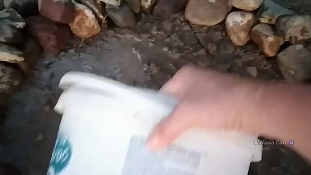 Влог/на ужин к родителям/в огород, собрала все помидор? смотреть онлайн