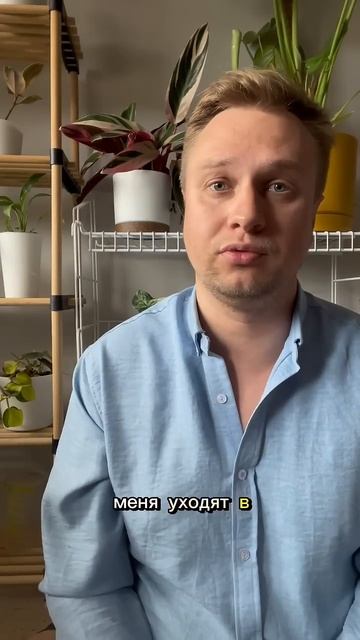 #plants #комнатныерастения #комнатныецветы #растения смотреть онлайн