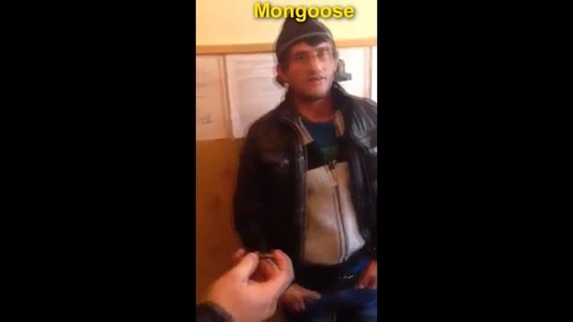 Закинули смотреть онлайн