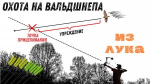 ОХОТА на Вальдшнепа из ЛУКА! Весенняя охота!