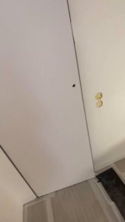 Скрытые двери.