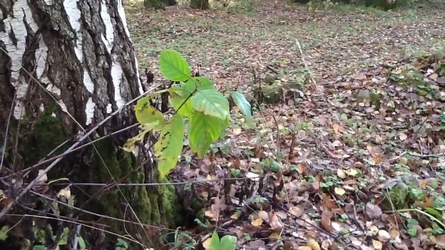 Монтаж6 смотреть онлайн