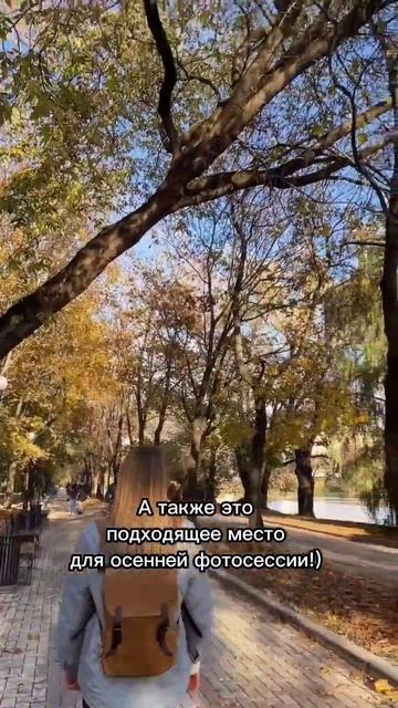 📍Новодевичьи пруды #москва #shorts #паркимосквы #парк #пр