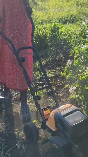 Культиватор вместо тяпки👌#огород#прополка #культива? смотреть онлайн