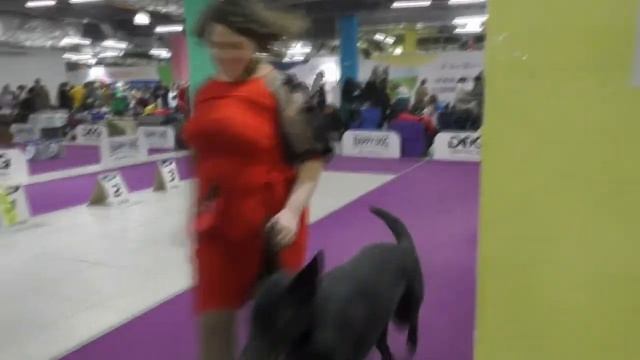 Оттепель смотреть онлайн