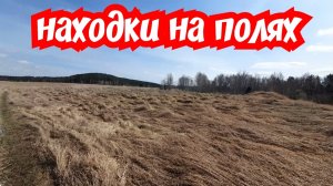 Старое урочище находки на полях