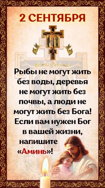 Рыбы не могут жить без воды, деревья не могут жить без ?