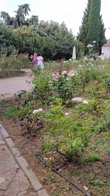 Крым. Ливадийский дворец. Стены. смотреть онлайн