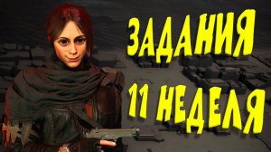 Облава Агент Келсо 11 Неделя Разведзадачи Груз Истины The Division 2