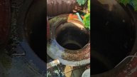 Бурим скважины в Калининграде 89114904551 #абиссинскаясква