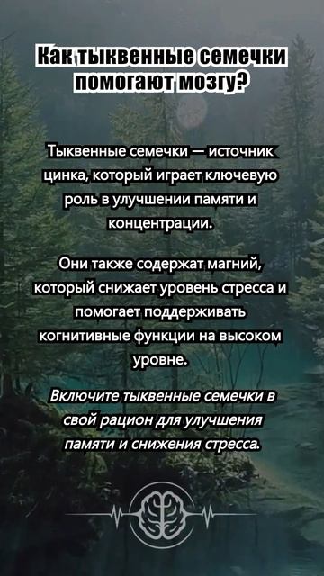Как тыквенные семечки помогают мозгу?