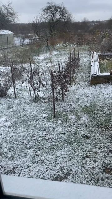 Проснулся, а за окном зима❄️ смотреть онлайн