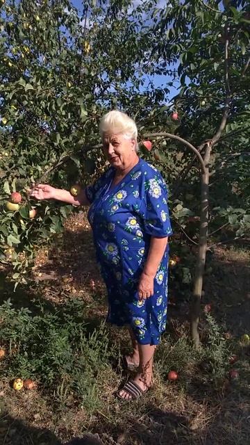 щедрый урожай на бабло. смотреть онлайн