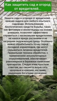 Как защитить сад и огород от вредителей...