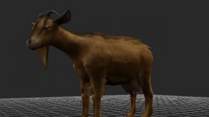 Goat animations: Анимация Козы