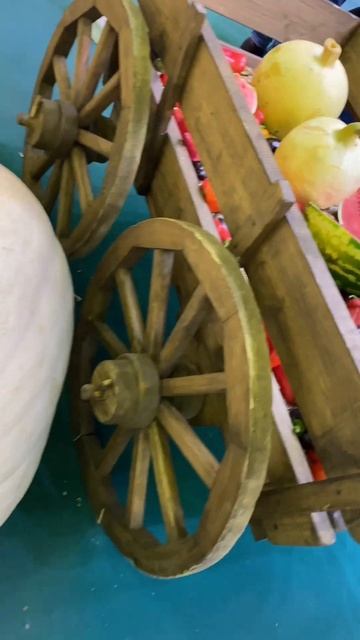 Москва, выставка Нетипичный садовод 2022 смотреть онлайн