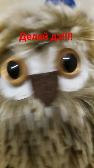 Ай си ю🤡