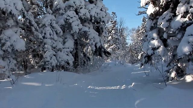 г Быкова 10 12 17