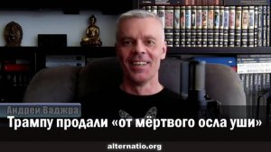 Андрей Ваджра. Трампу продали «от мёртвого осла уши»