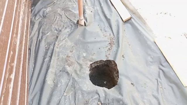 Сажаем туи Смарагд у нас на участке смотреть онлайн