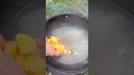 БОРЩ 🔥