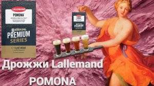 Пиво на новых гибридных дрожжах для NEIPA от LAllemand POMONA!Варка и дегустация.