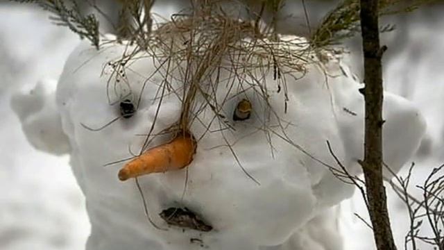 Зимние приколы