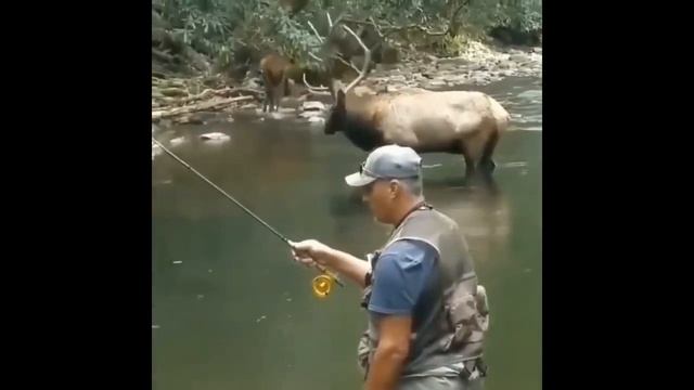 Прыколы на рыбалочке!#4 смотреть онлайн