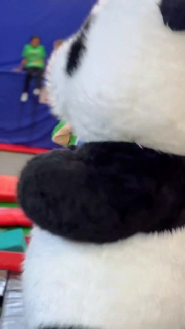 Уссурийск УССУРБАТУТ смотреть онлайн