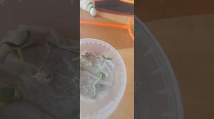 Огурцы на туалетной бумаге