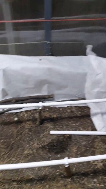 Сад и огород смотреть онлайн