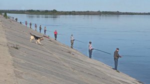 МУЖИКИ ЗАНЯЛИ ВЕСЬ БЕРЕГ, НЕГДЕ ВСТАТЬ! РЫБАЛКА НА ВОЛГЕ ВО ВРЕМЯ РАЗЛИВА