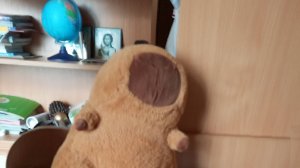 1 сезон моих видео