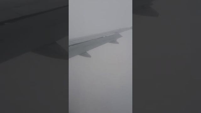 Посадка самолета в Новосибирске смотреть онлайн