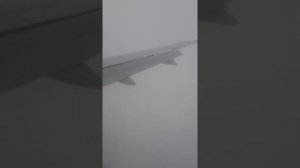 Посадка самолета в Новосибирске