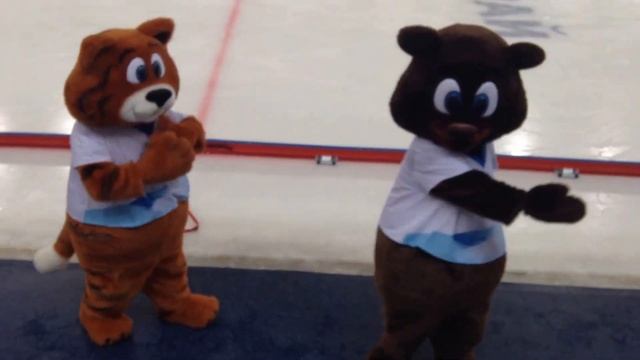 Символы ЧМ-2015 по хоккею с мячом исполняют брейк смотреть онлайн