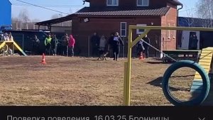 2 Отл. СС ДЖОКЕР ф. Дойчем Боден +++ №20