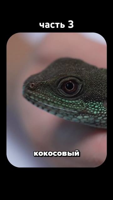 ч.3 Температура, влажность, грунт, растения для водяной