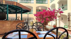 Bel Air Azur Resort Hotel in Egypt, Hurghada. Music. Обзор отеля в Египте, Хургада. Музыка