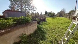 Участок 6 сот. (ЛПХ)