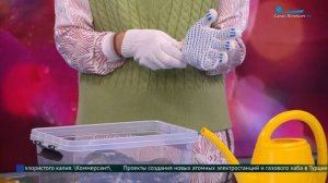 Как подготовить многолетние цветы к зиме?