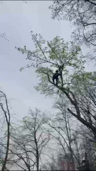 1000021048.mp4