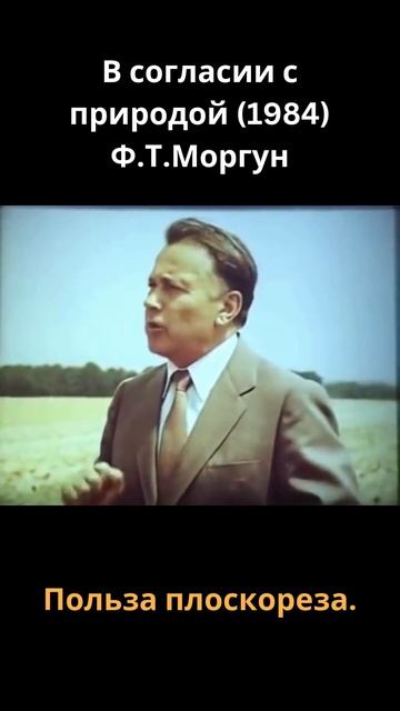 Польза плоскореза. Безотвальная обработка почвы. #зем?