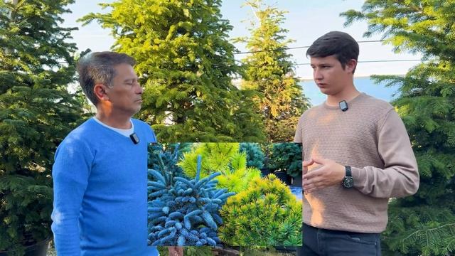 Морозостойкость и зимостойкость: в чем разница? | Сове?