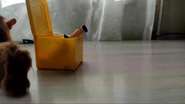 идея анимации не мая смотреть онлайн